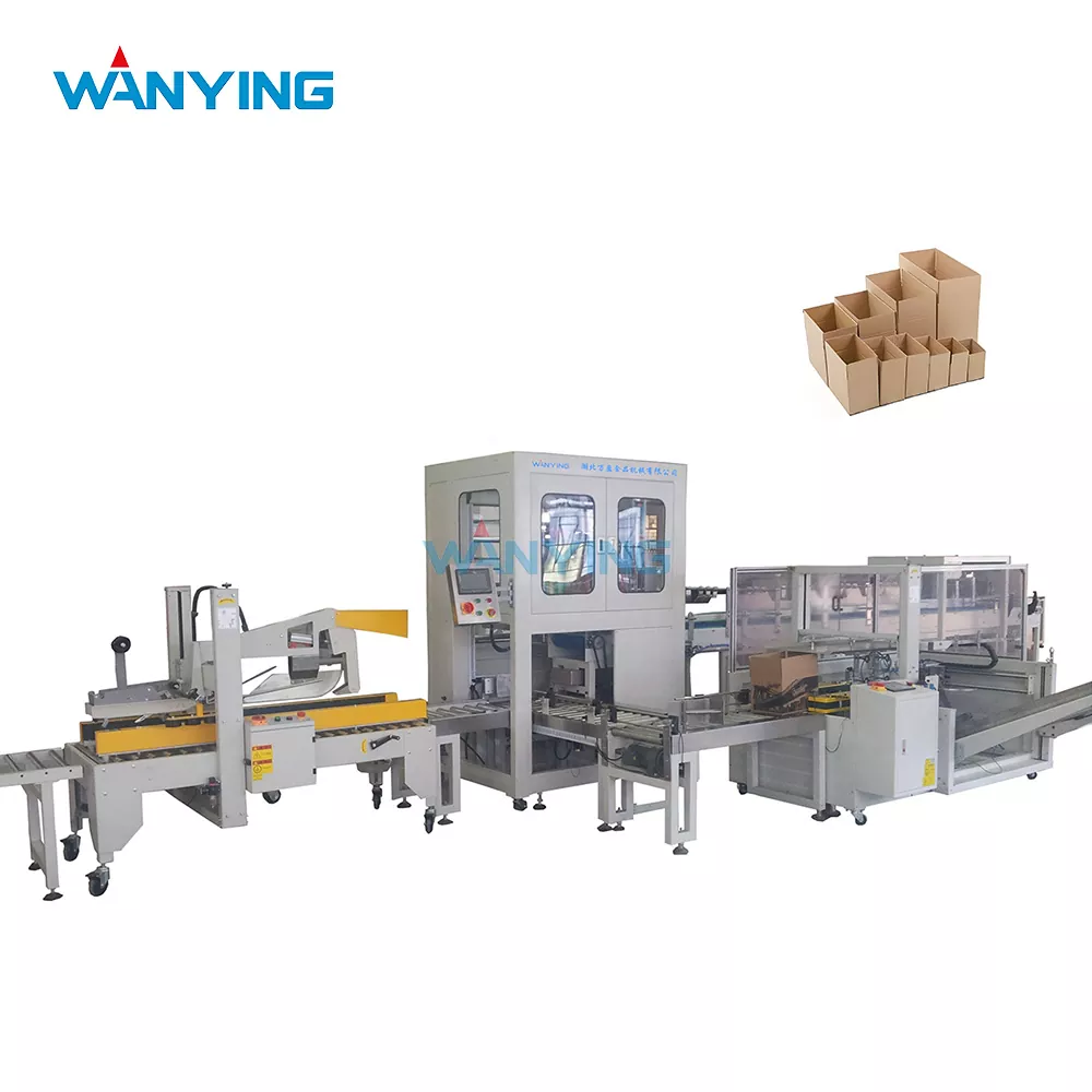 Automatic Case Packing Machine