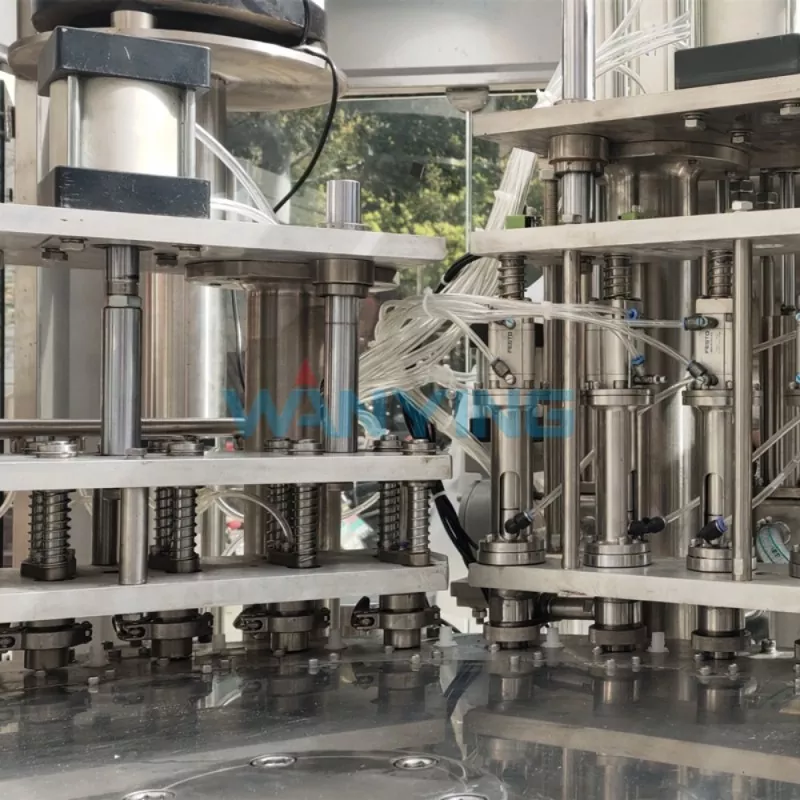 Stand-Up Pouch Filling Machine