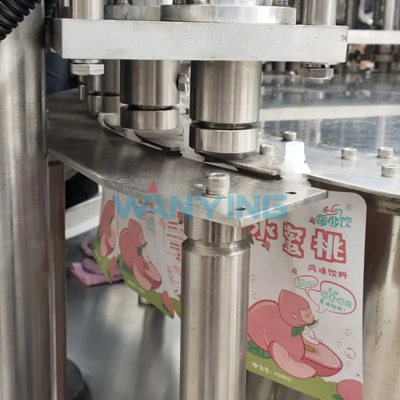 Stand-Up Pouch Filling Machine