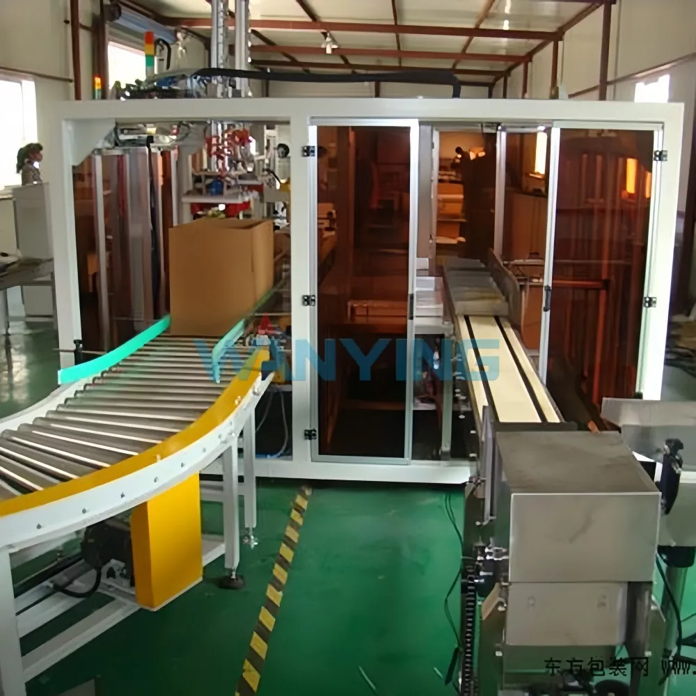 Automatic Case Packing machine