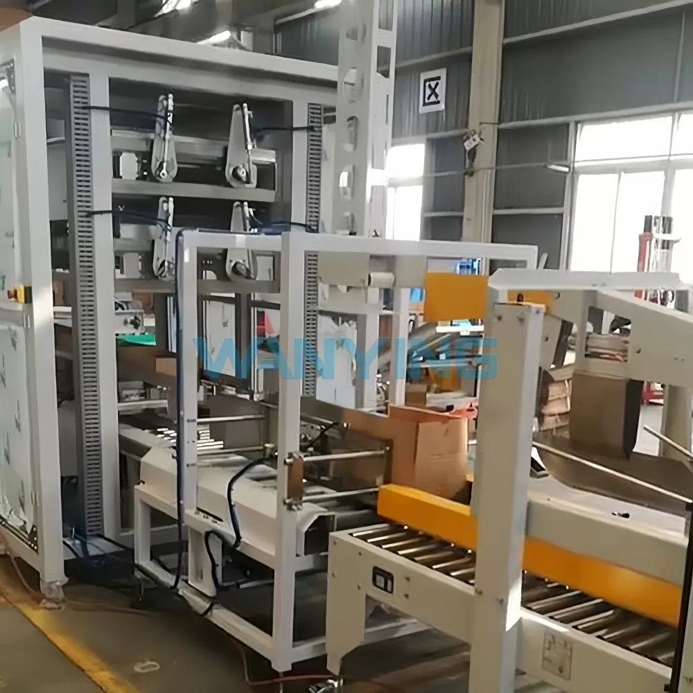 Automatic Case Packing machine