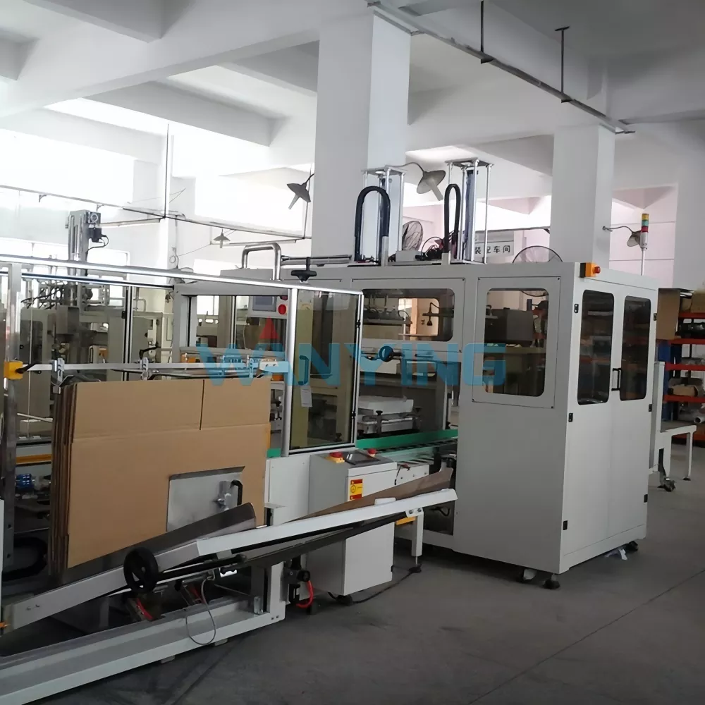 Automatic Case Packing machine