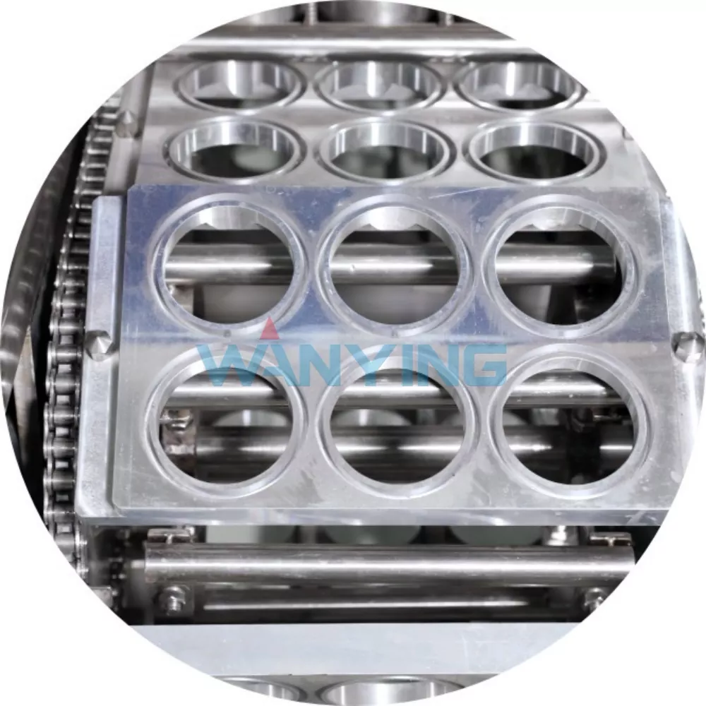 Reel-fed film filling and sealing machine